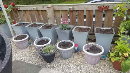 Photo of free Grey pots and compost (NE42) #1