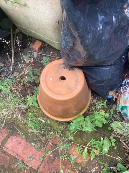 Photo of free Flower pots (RG1) #1