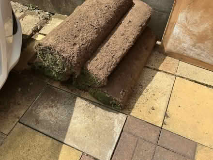 Photo of free Turf (BH10) #1