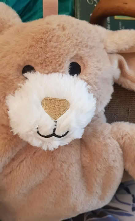 Photo of free Nightie/PJ Holder Rabbit (Acton) #2