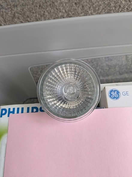 Photo of free Light bulbs (Gosport PO12) #2