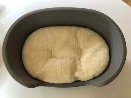 Photo of free Cat Bed (Burridge PO15) #2