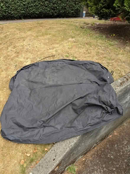 Photo of free Back seat protector (Greenwood) #1