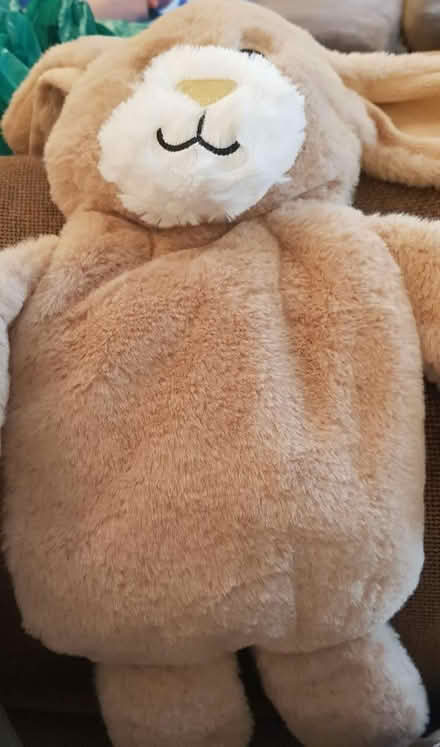 Photo of free Nightie/PJ Holder Rabbit (Acton) #1