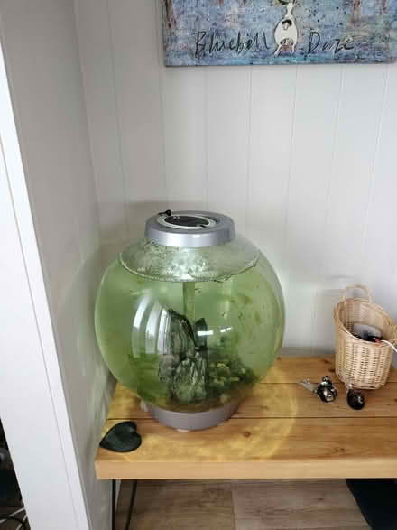 Photo of free BiOrb 60L fishtank with guppies (Isle of Walney LA14) #1
