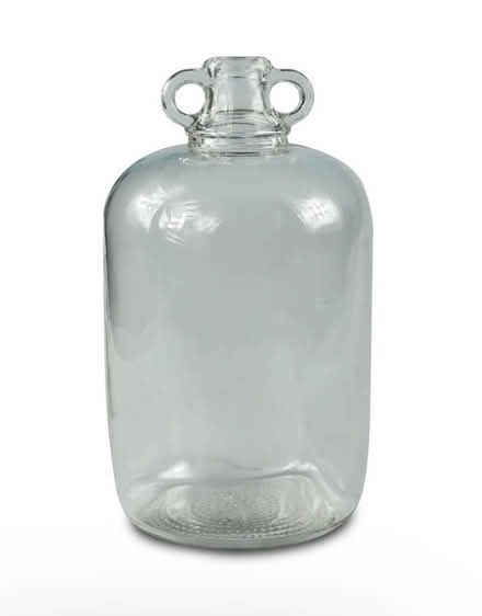 Photo of free 40 demijohns for winemaking (Eastbourne BN21) #1