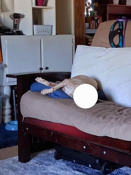 Photo of free Dark wood futon couch/bed (4 miles north of Krum.) #1