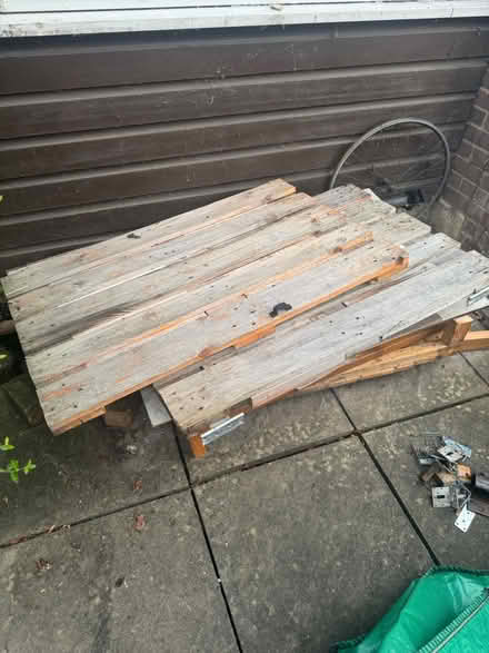 Photo of free Slabs of wood (SW161LZ) #3