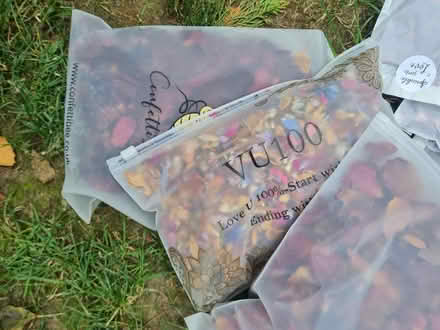 Photo of free Rose petals (Wokingham RG40) #1