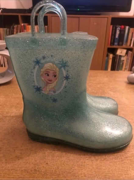 Photo of free Frozen Wellies ❄️ (Cheshunt En8) #1