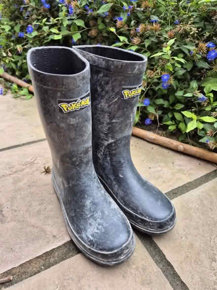 Photo of free Pokemon wellies (Lewes BN7) #1
