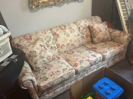 Photo of free sleeper sofa (Pelham, AL) #1