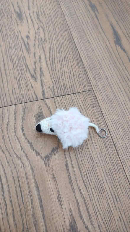 Photo of free Hedgehog key ring (E14) #1