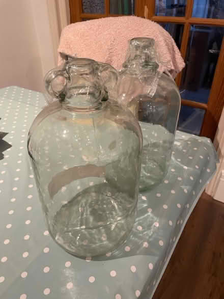 Photo of free Wine/ beer making bottles (TN2) #1