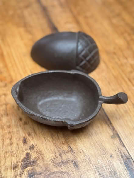 Photo of free Garden acorn (Wood Green N22) #2