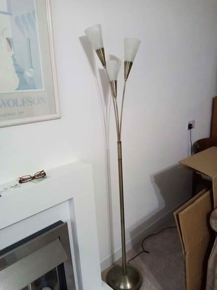 Photo of free Modern standard lamp (Paignton TQ3) #1