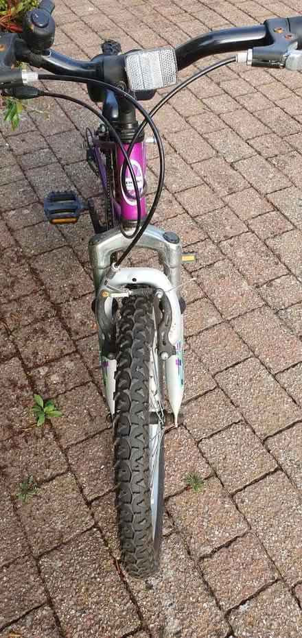 Photo of free Girl's bike 20 inch (IP4) #2