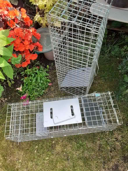 Photo of free Snap-shut cages (Slack Lane DE22) #1