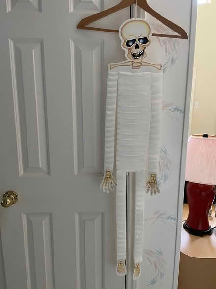 Photo of free Halloween decorations (West Plano) #1