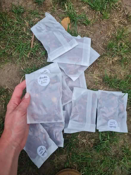 Photo of free Rose petals (Wokingham RG40) #3
