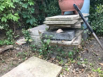 Photo of free Paving slabs (Presteigne LD8) #3