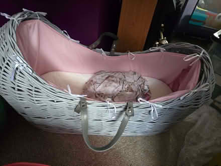 Photo of free Moses basket (Bowbridge GL5) #1