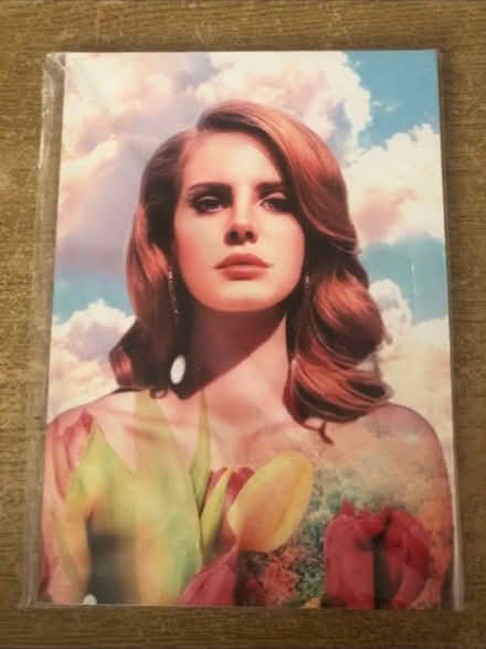 Photo of free Lana Del Rey Print on Board (Cheshunt En8) #1