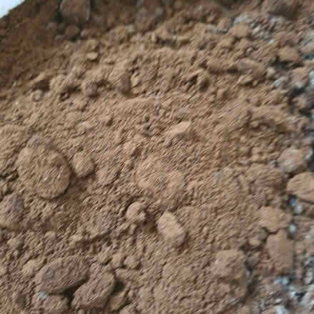 Photo of free Coffee Grounds (Northop Hall CH7) #1