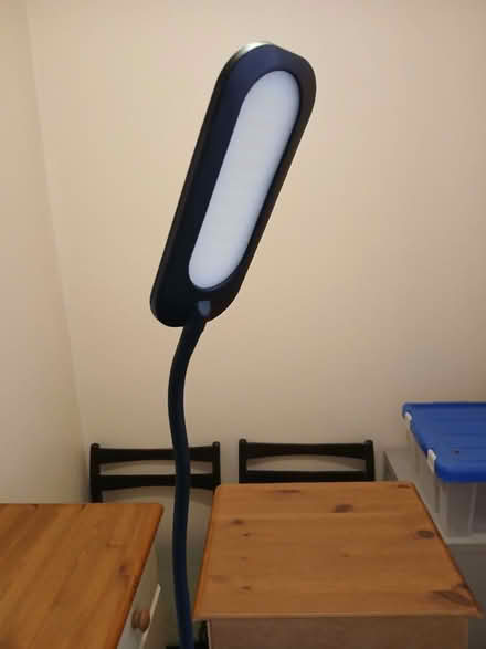 Photo of free Floor lamp (Deepcar S36) #1