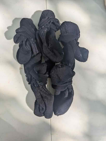Photo of free 5 pairs Darn Tough socks (Davis Square Somerville) #1