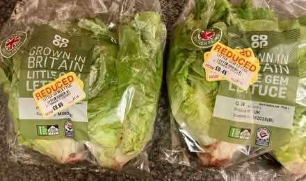 Photo of free Food items (Alvaston DE24) #4