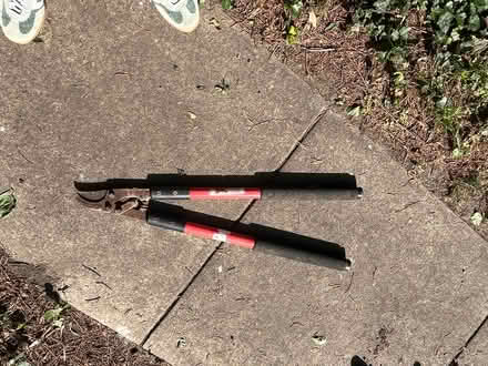 Photo of free Clipper/lopper (Upper NW DC) #1