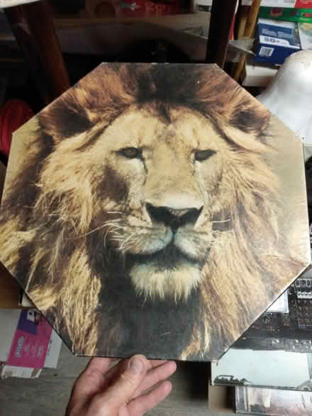 Photo of free 9 Puzzles 500 to 1000 pieces (Near Baseline Rd. & Clyde Ave.) #4