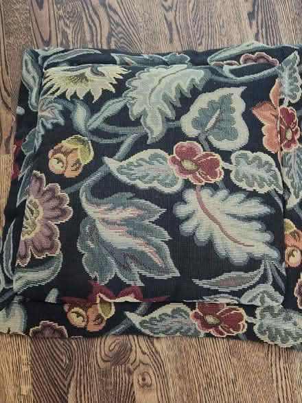 Photo of free 24" tapestry pillows (southeast Fort Collins) #2