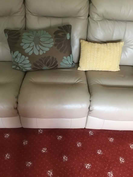 Photo of free Cushions (Bromsgrove B61 7) #1