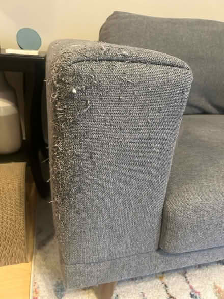 Photo of free Comfortable used gray couch (Lakeview East) #2