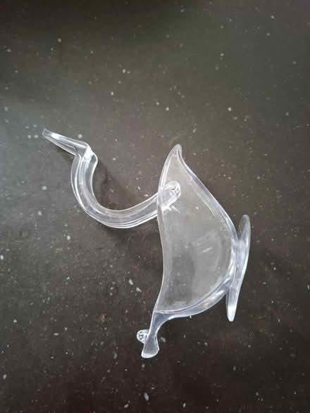 Photo of free Lemon squeezer (Horsham) #1