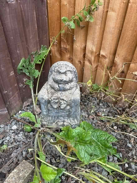 Photo of free Stone statue of a hedgehog (Stepney Green E1) #1