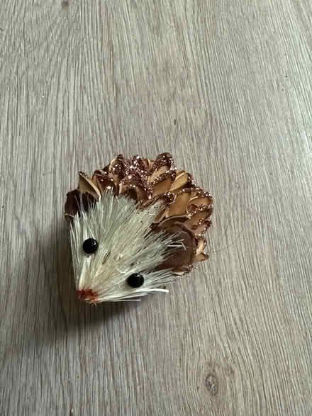 Photo of free Hedgehog clip (Oswestry SY11) #1