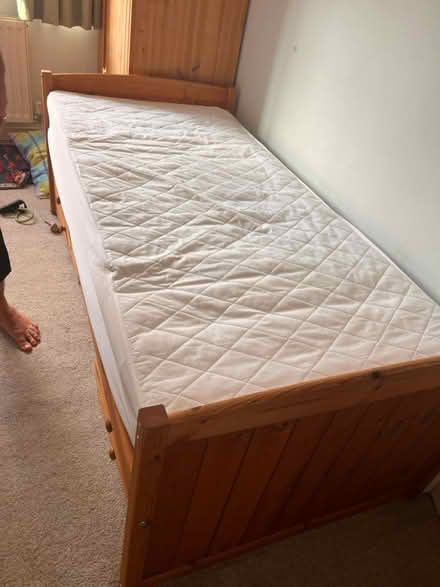Photo of free Single pine bed (Kennington OX1) #1