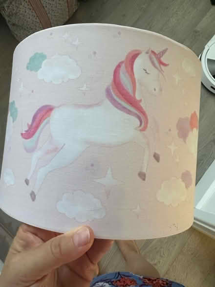 Photo of free Kids lampshade (Hutton CM13) #2