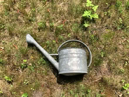 Photo of free Galvanized watering can (Lexington) #1