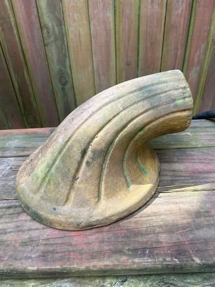 Photo of free Cornucopia (Morrow) #2