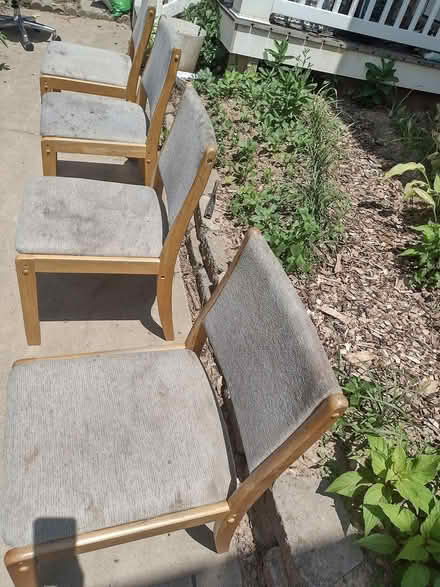 Photo of free set of four chairs (Hampstead) #2