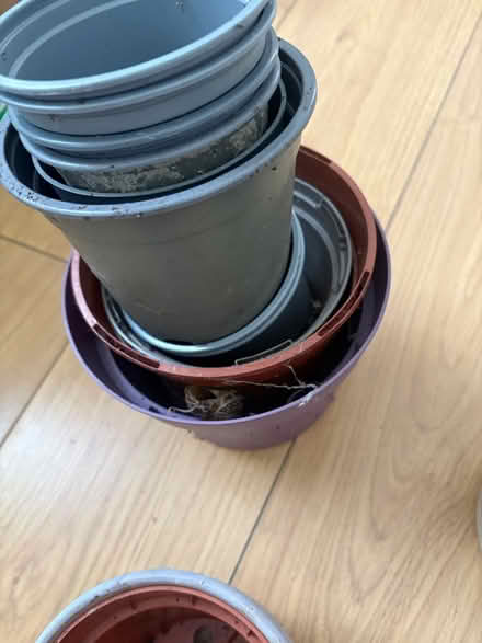 Photo of free Pots miscellaneous (N17 - Bruce Grove) #1