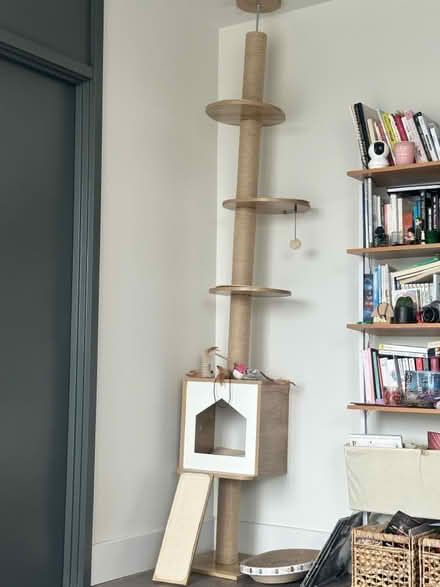 Photo of free Tall cat tree and cat toys (Woolwich) #2