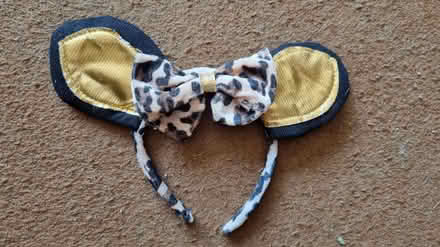 Photo of free Mouse ears headband (Upper Weston, Bath) #1