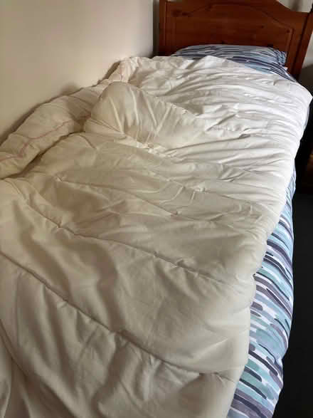 Photo of free Double Duvet (Winfrith DT2) #1
