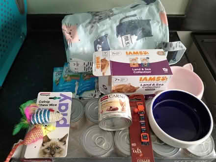Photo of free Cat/kitten items (WF8) #1