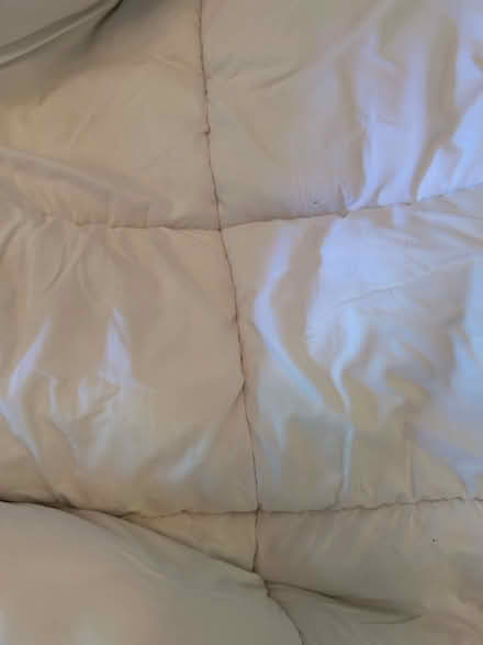Photo of free Queen Mattress topper JP Home (East Hollywood) #1
